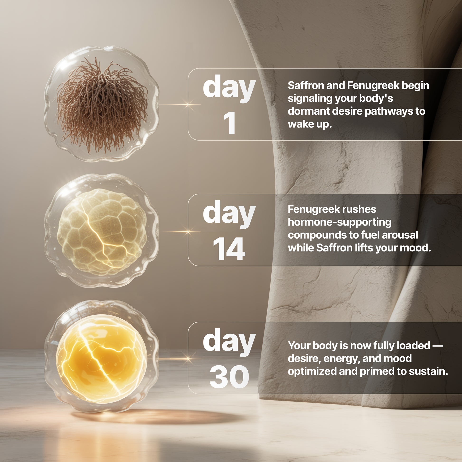 Her Libido - Image 4